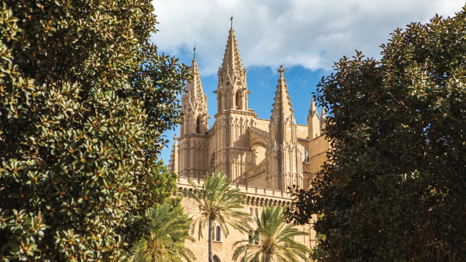 Palma de Mallorca_2025-11-26_10-01-14 groot