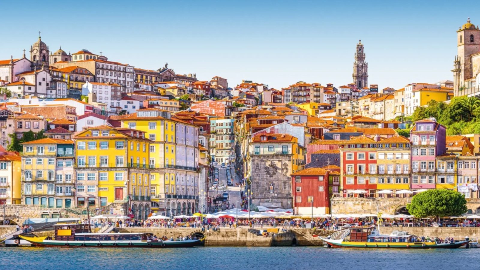 eux2607header~-~media--51856a2d--query.ab4944f2 Groot